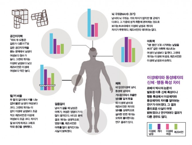 남성 생식계 정면도